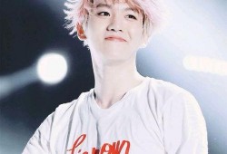 边伯贤爆料视频大全最新,揭秘明星幕后生活点滴