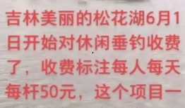 钓鱼爆料视频最新,最新爆料视频带你领略垂钓乐趣与技巧