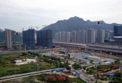 最新温州爆料,揭秘城市热点事件背后的真相