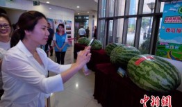 威远吃瓜最新事件爆料新闻,最新爆料揭露惊人内幕