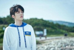 张新成最新爆料,幕后故事与心路历程