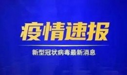神华集团爆料新闻报道最新,揭秘能源巨头转型之路与未来战略布局