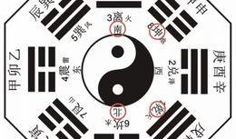 八卦最新爆料九红,九红背后的惊人真相，揭秘娱乐圈风云变幻