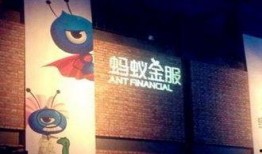 蚂蚁集团最新爆料,创新举措与未来展望