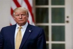 特朗普最新家族爆料图鉴,揭秘权力背后的家族秘密