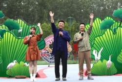 十堰爆料孕妇事件视频最新,真相与争议交织