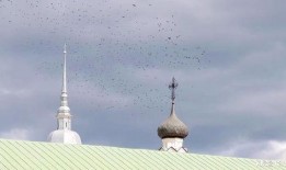 爱沙尼亚最新爆料消息,神秘事件背后真相曝光！”